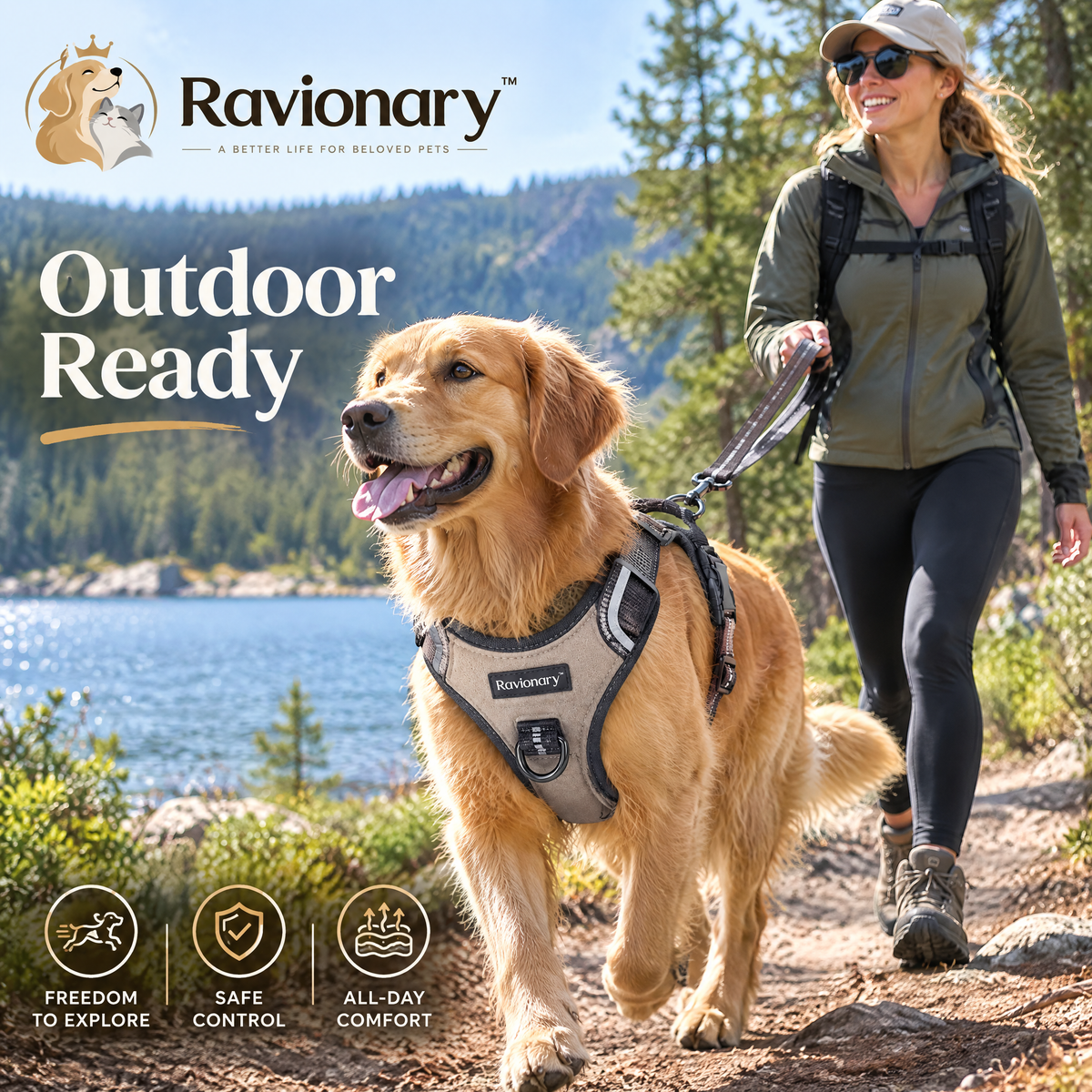 ravionary™ Premium No-Pull Walking Harness