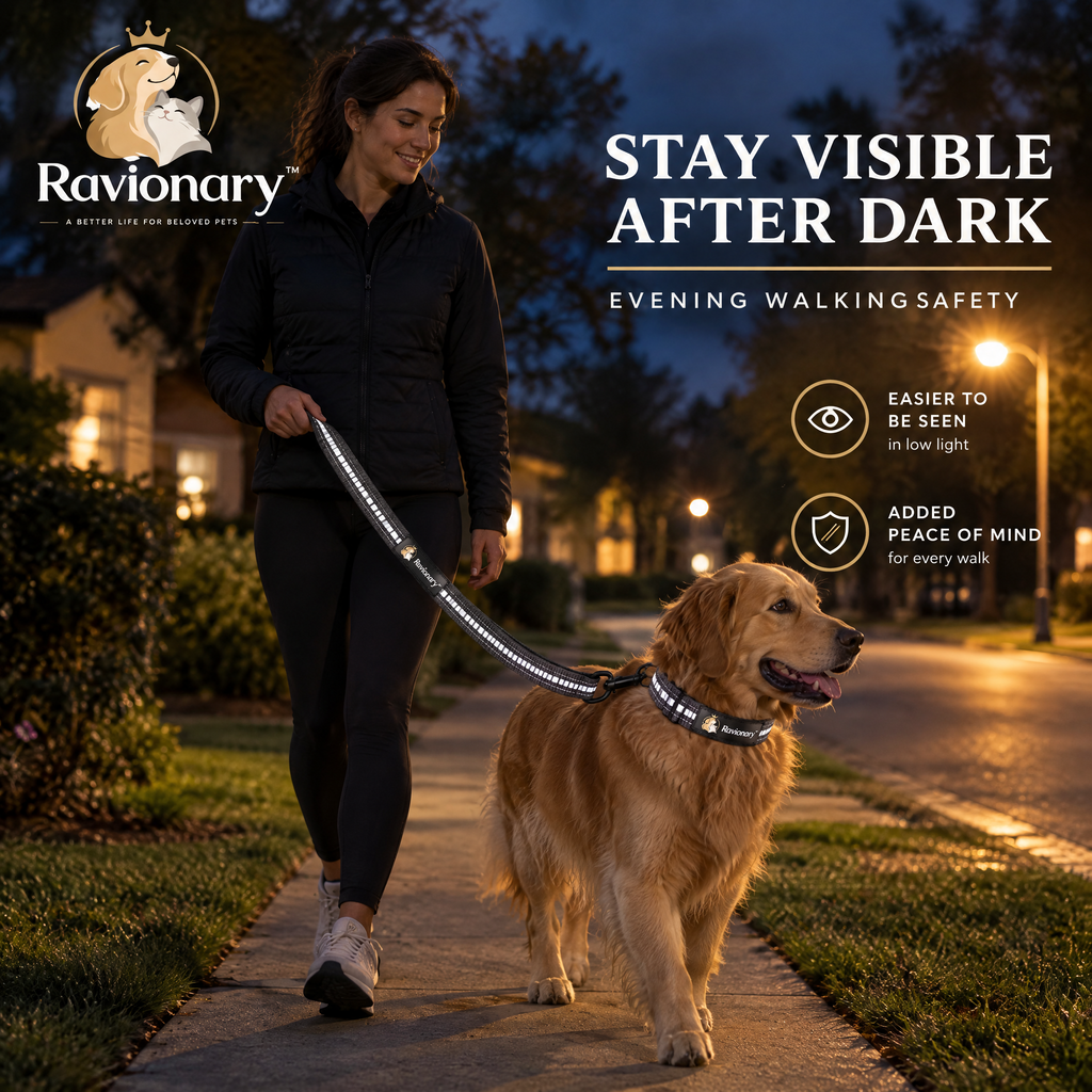 ravionary™ Reflective Everyday Walk Leash Set