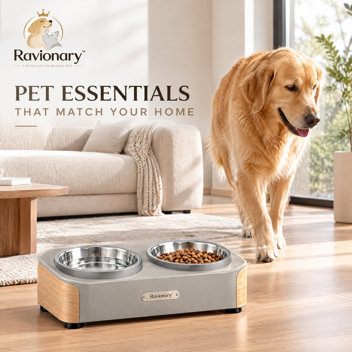 ravionary™ Modern Elevated Pet Bowl Set