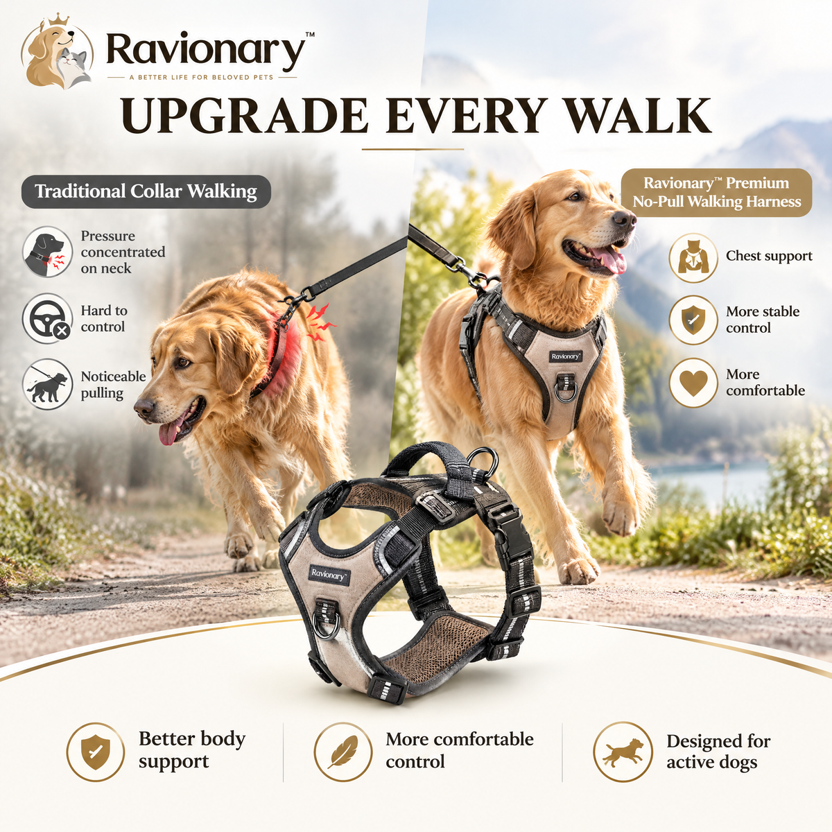 ravionary™ Premium No-Pull Walking Harness