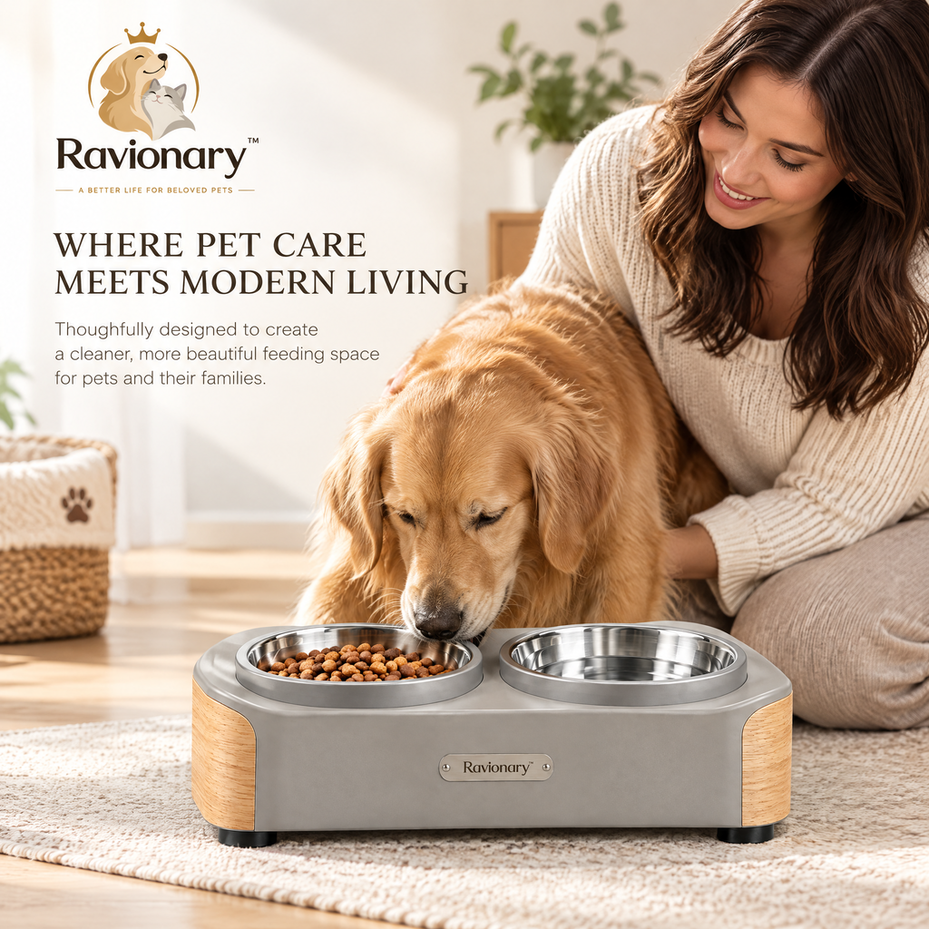 ravionary™ Modern Elevated Pet Bowl Set