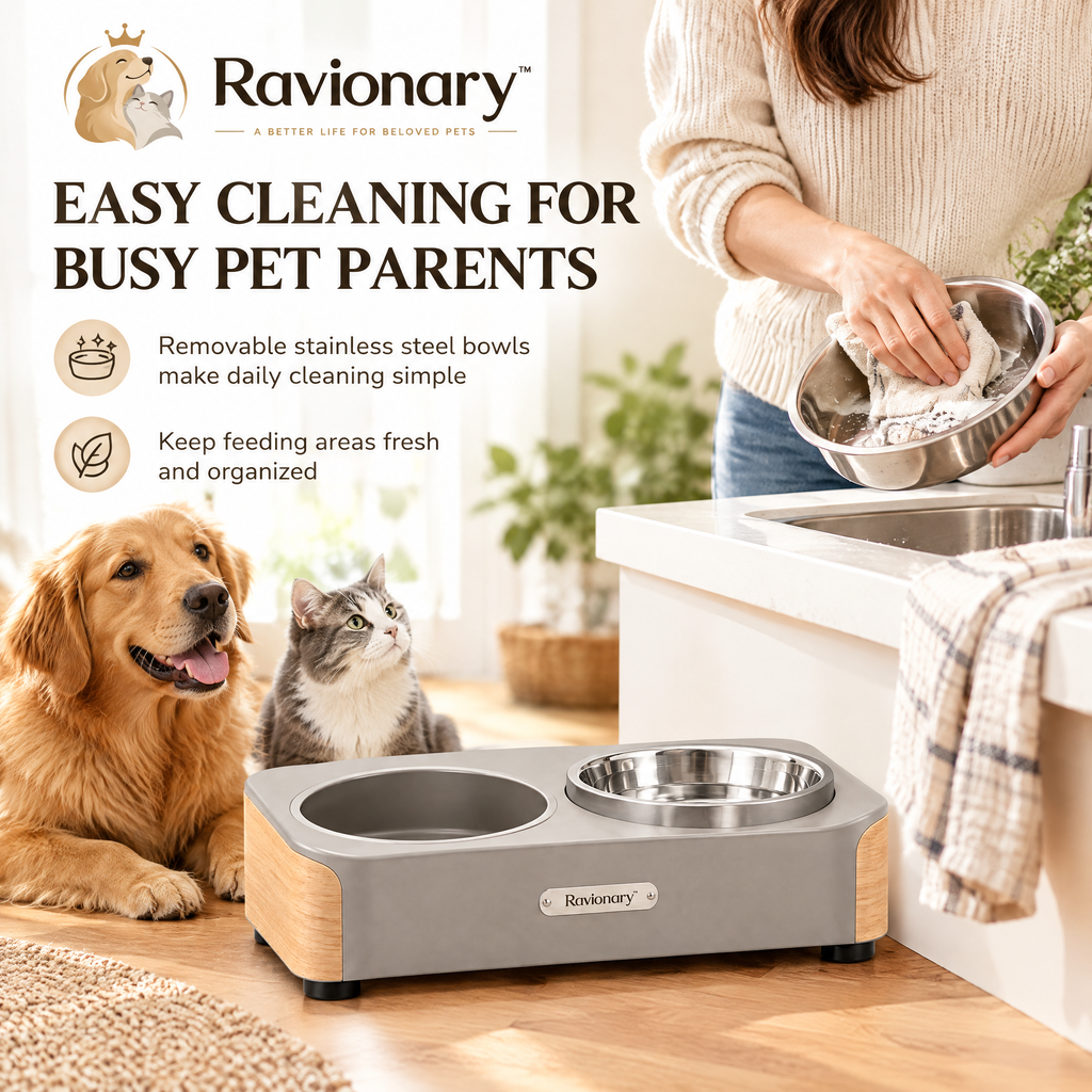 ravionary™ Modern Elevated Pet Bowl Set