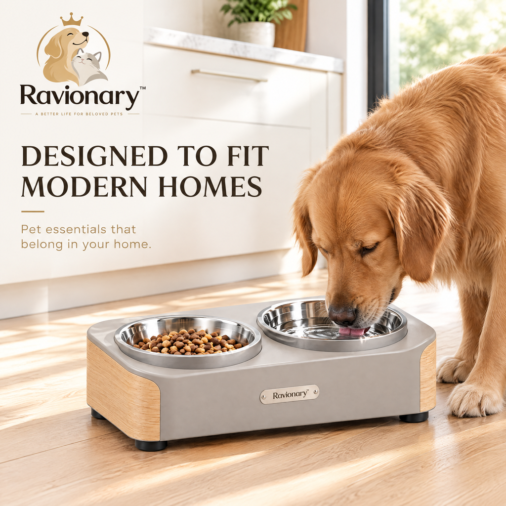ravionary™ Modern Elevated Pet Bowl Set