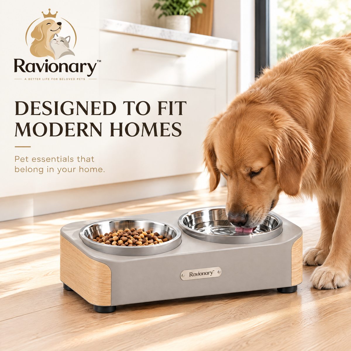ravionary™ Modern Elevated Pet Bowl Set