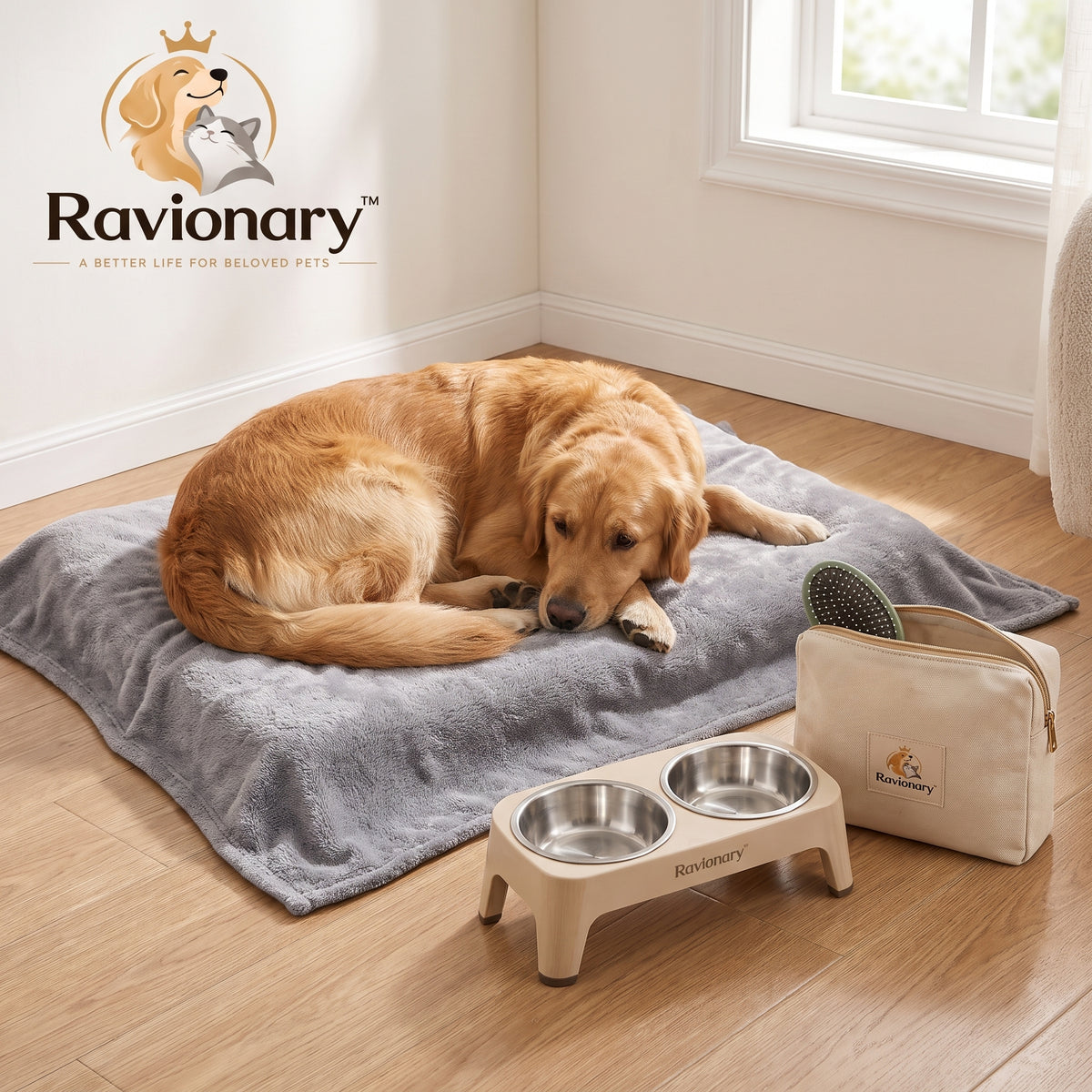 ravionary™ Everyday Pet Comfort Essentials