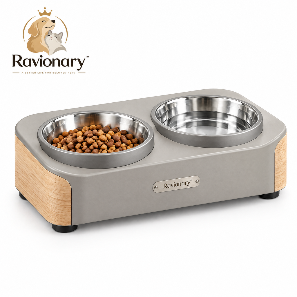 ravionary™ Modern Elevated Pet Bowl Set
