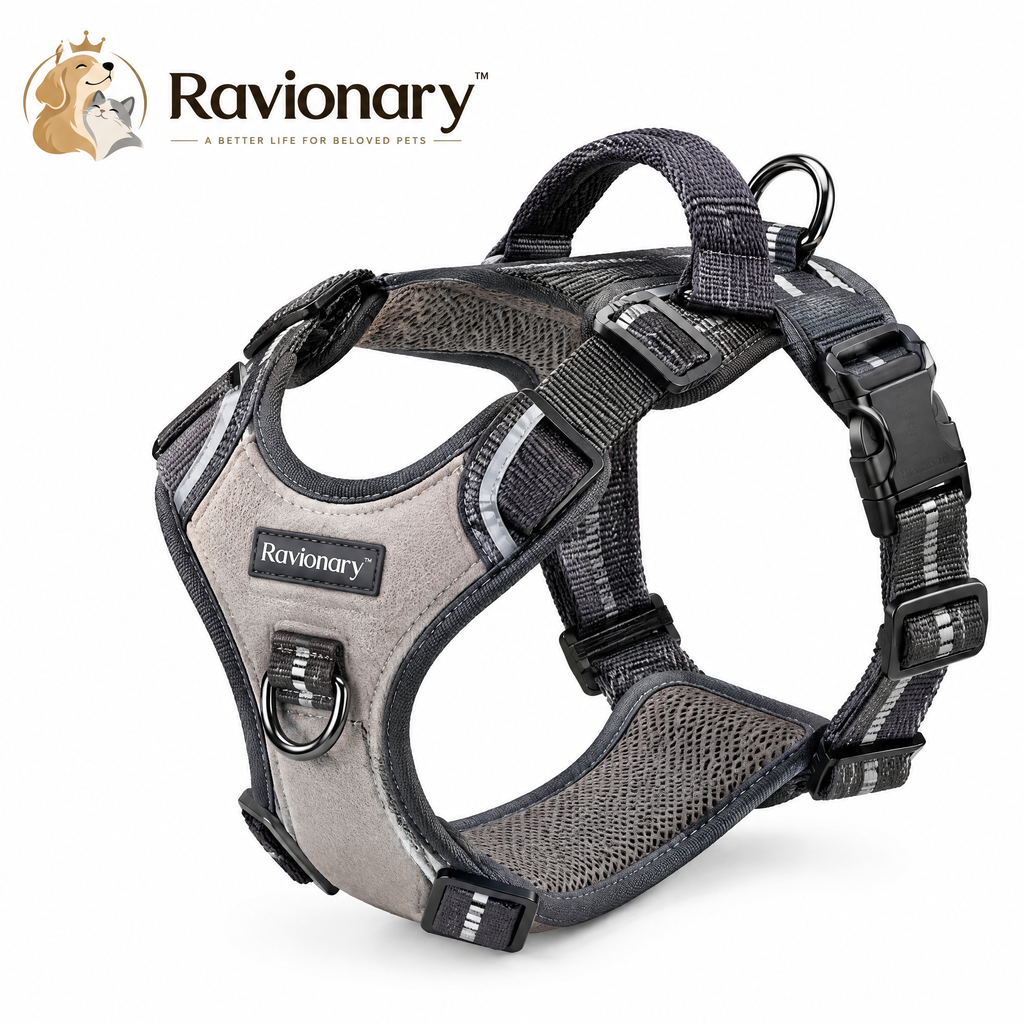 ravionary™ Premium No-Pull Walking Harness